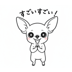 shirochiwawachan