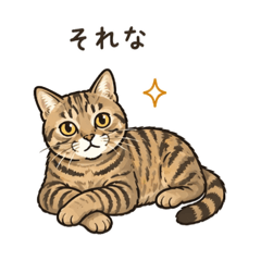 ねこたちの本音スタンプ