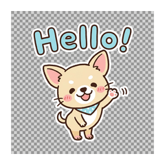 Heta-Kawa Chihuahua_english