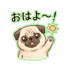 Pippi - Daily Chat Stickers