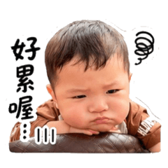 小駿の八百種語言