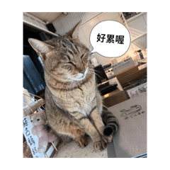 各種角色的貼圖