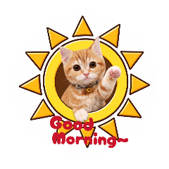 猫達の日常会話1