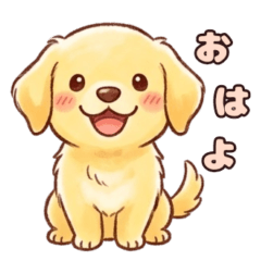 A little Golden Retriever