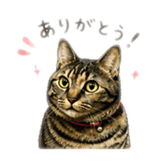 Tabby cat's daily life stamps