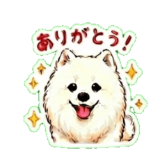 Fluffy Samoyed Stickers for Chat