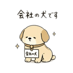 Tani's teikoku radio_20260425095517