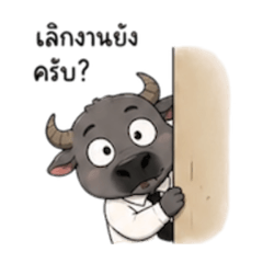 Worsa._20260426183954