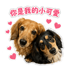 茶茶哥哥&娜娜子妹妹