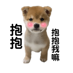 柴不告訴泥