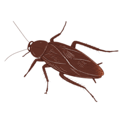 pinkypieee_20260426202019