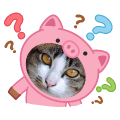 plopp_20260426202057