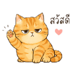 Hmwe Cute Studio_20260426200452