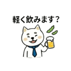 Soft & Polite White Shiba: After Hours