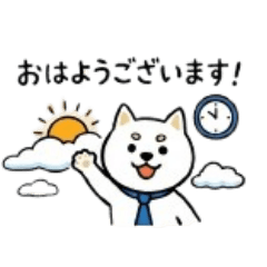 Soft&Polite White Shiba:Daily Greetings