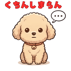 I like toy poodle Hakata dialect