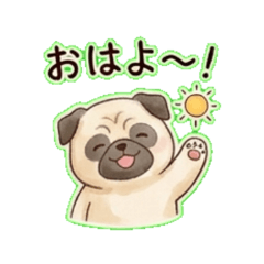 pug- Daily Chat Stickers