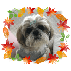 Chantry_20260425105311