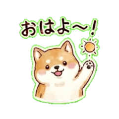 Shiba Inu  Daily Chat Stickers