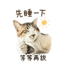 厭世譚圓圓