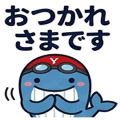 Every day polite language Y Whale Whalen