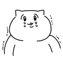 chimo_20260425112859