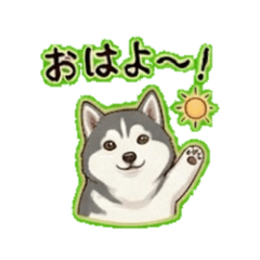 Siberian Husky - Daily Chat Stickers