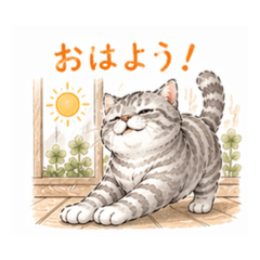 chacha shuru - Daily Chat Stickers