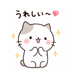 too ti_20260425122614