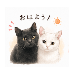 Daily Black and White Chat Stickers