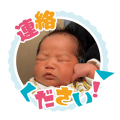 Funghi_20260426164232