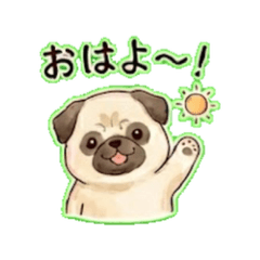 Pug - Daily Chat Stickers
