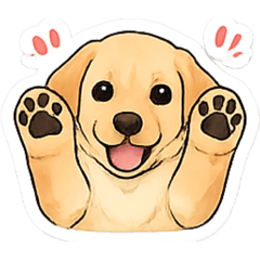 Dosanko_20260426171627