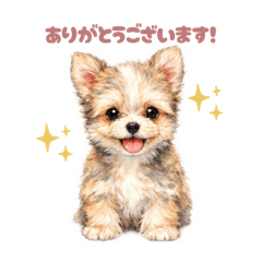 Misapon_20260426165013