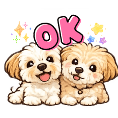 Kamomi_20260426165124