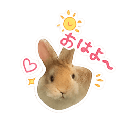 miyuimam_20260426194251