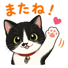 猫のはっちゃん1