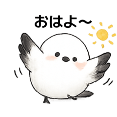 ccoi&l_20260425131135