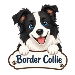 border_collie_1