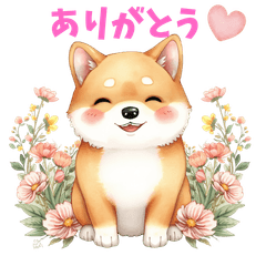 Cute Shiba inu stickers 1015