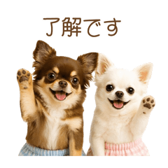 mataro_20260425144718