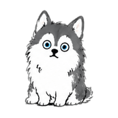 FuwaFuwa husky dog