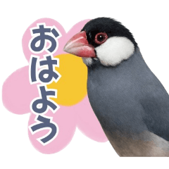 Dolcia no Nekojikan_20260425150036