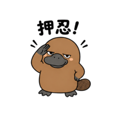 miyuki_20260426180134