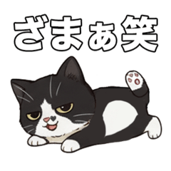 kororin_20260426175607