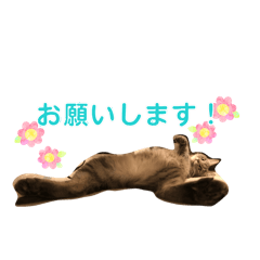 nonoka_20260426201449