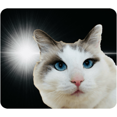 MikanChannel_20260426180719