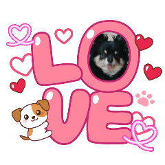 HIMARI_20260426201343