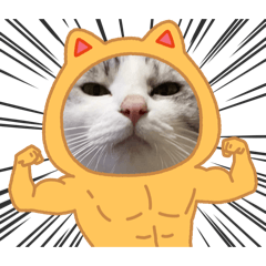 Rlove_20260426202135