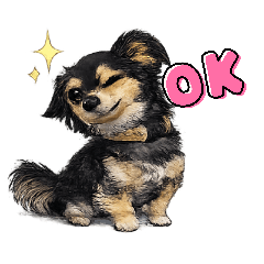 daihukuan_20260426202401